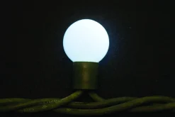 Online Christmas Land 50 Extendable Outdoor Xp Led Ice-White Berry Christmas Lights