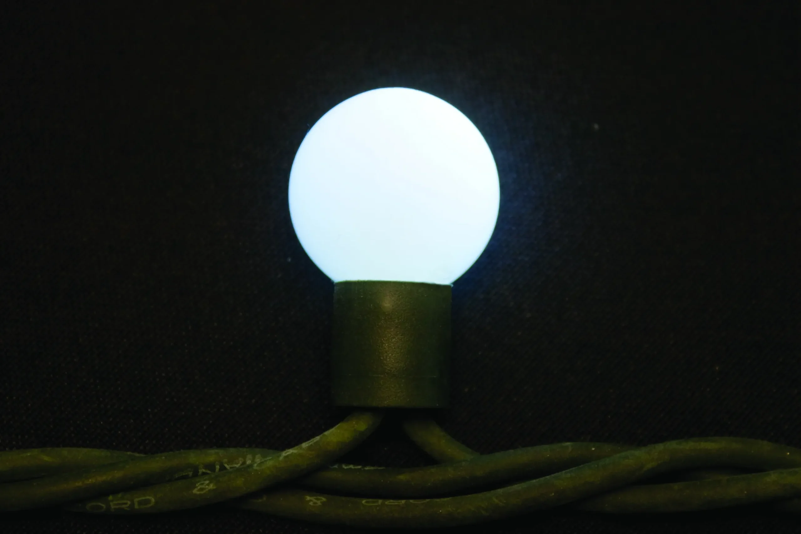 Online Christmas Land 50 Extendable Outdoor Xp Led Ice-White Berry Christmas Lights