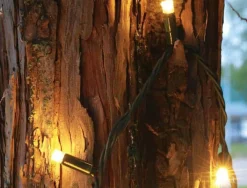 Sale Christmas Land 100 Fdl Xl Led Connectable Warm White Christmas Lights (15M)