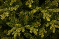 New Christmas Land 7.5Ft Carrington Fir Slim Artificial Christmas Tree