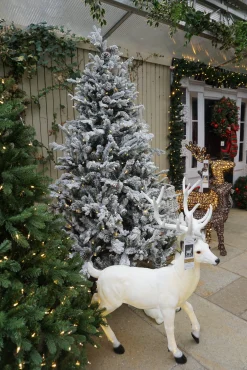 Clearance Christmas Land 9Ft Feel Real Frosted Dorchester Pine Pre-Lit Artificial Christmas Tree