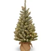 Online Christmas Land 3Ft Snowy Concolor Fir Pre-Lit Artificial Christmas Tree