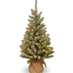 Online Christmas Land 3Ft Snowy Concolor Fir Pre-Lit Artificial Christmas Tree