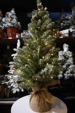 Online Christmas Land 3Ft Snowy Concolor Fir Pre-Lit Artificial Christmas Tree