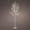 Online Christmas Land 7Ft Warm White Micro Led Birch Tree For Outdoors