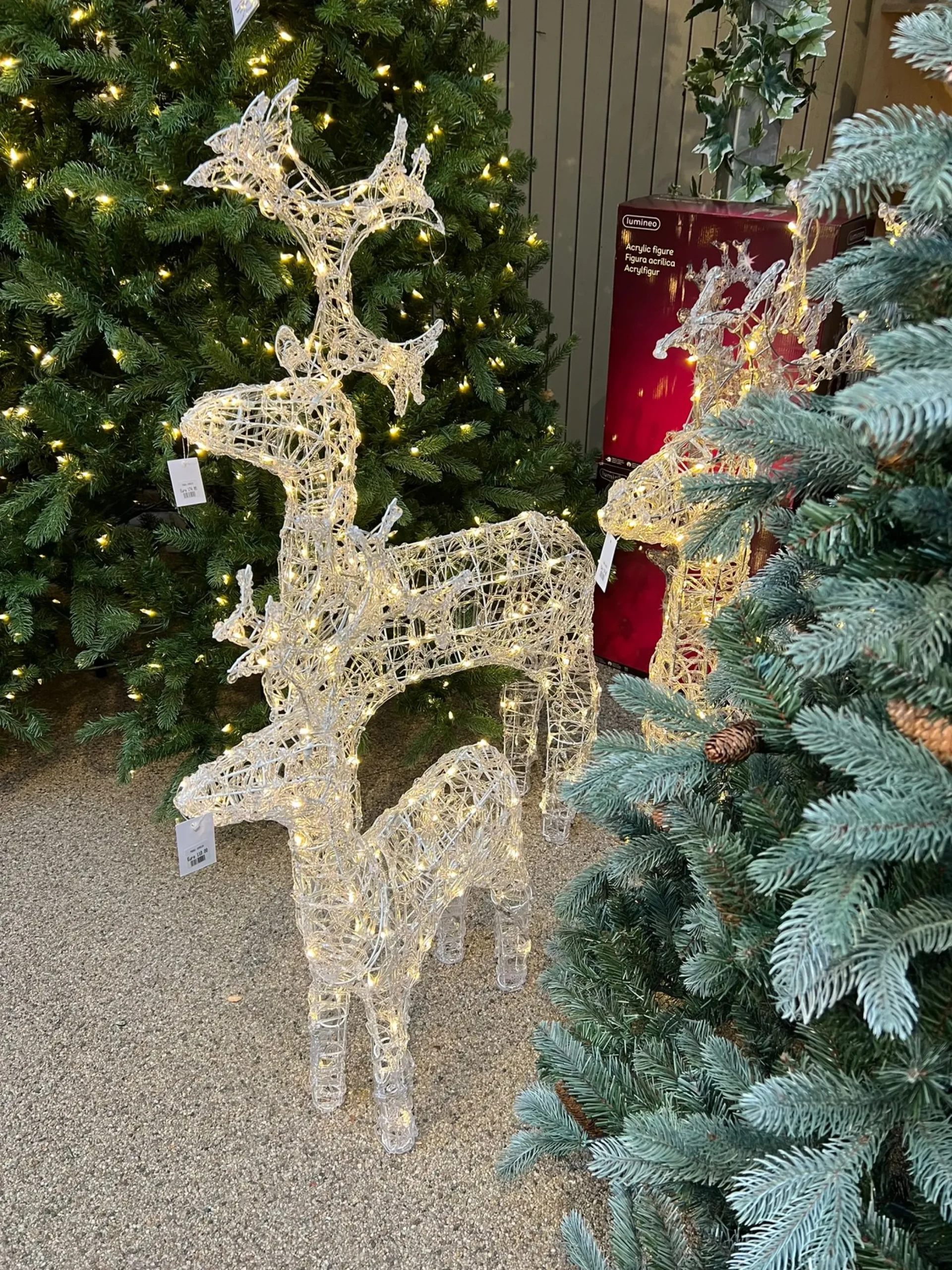New Christmas Land Warm White Led Acrylic Reindeer